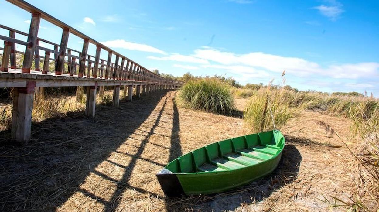El Parque Nacional de las Tablas de Daimiel cumple 50 años en estado agónico