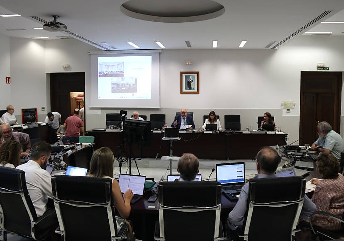 Consejo de Gobierno de la Universidad de Córdoba