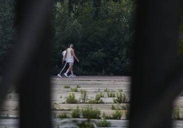 En imágenes: 'cruising' y vertidos ilegales en los terrenos abandonados del Aquopolis de San Fernando de Henares