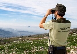 Andalucía ultima una ley para garantizar la carrera profesional de los Agentes de Medio Ambiente