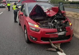 Una cabra montesa invade la autovía y provoca un brutal accidente de tráfico en Valencia