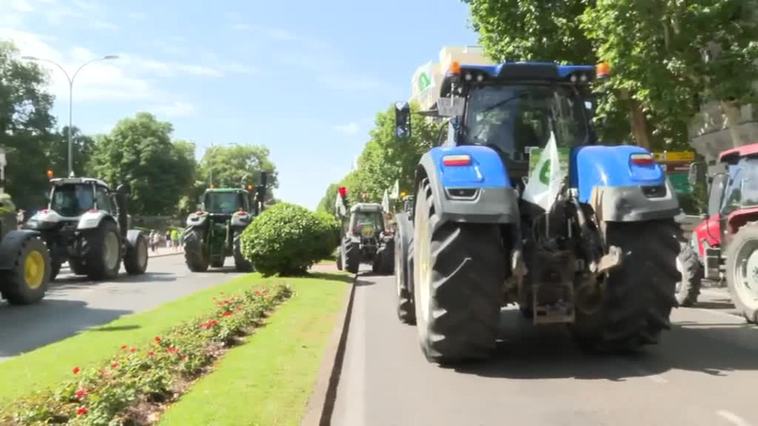 Los agricultores exigen en Madrid ayudas directas para paliar los efectos de la sequía