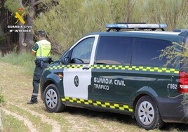 Investigado un conductor kamikaze que circulaba con placas de matrícula robadas en Albacete