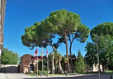 Las novatadas serán motivo de expulsión de la UCLM