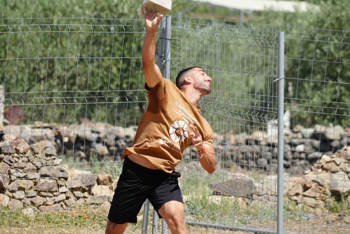 Las apasionantes XIV Olimpiadas de Añora, en imágenes