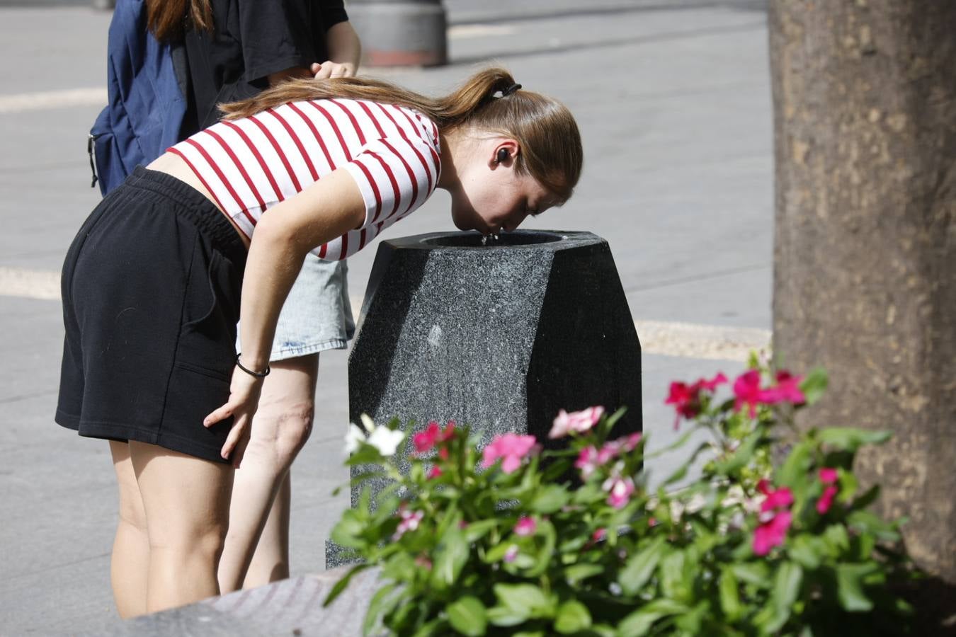 Fotos: Córdoba se abrasa a casi 44 grados a la sombra en la ola de calor