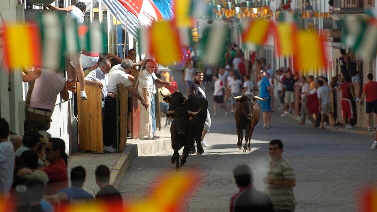 Así son los encierros de las vaquillas de El Viso, el San Fermín de Córdoba