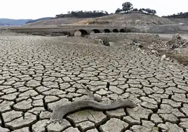 Andalucía ha perdido ya agua para llenar dos veces Melonares