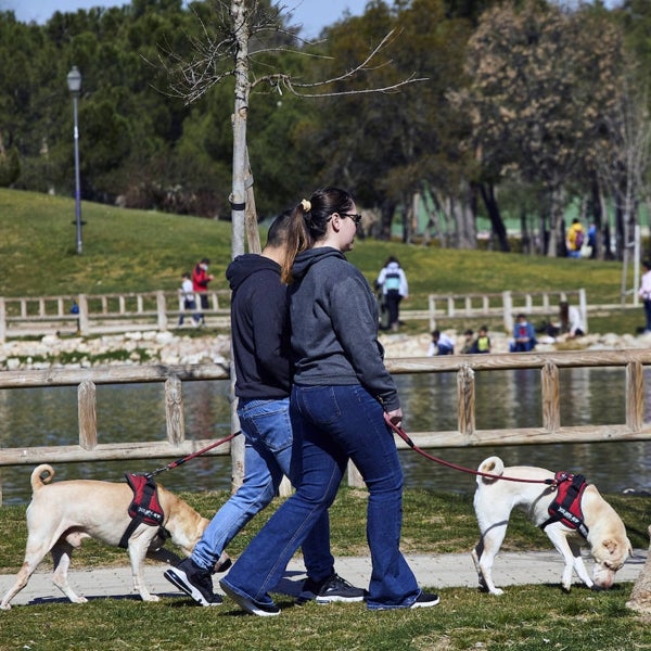 Al menos dos perros muertos por envenenamiento en el parque Calero, en Madrid