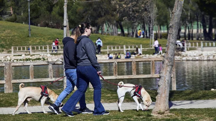 Al menos dos perros muertos por envenenamiento en el parque Calero, en Madrid