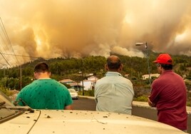 Fotogalería: el incendio de La Palma