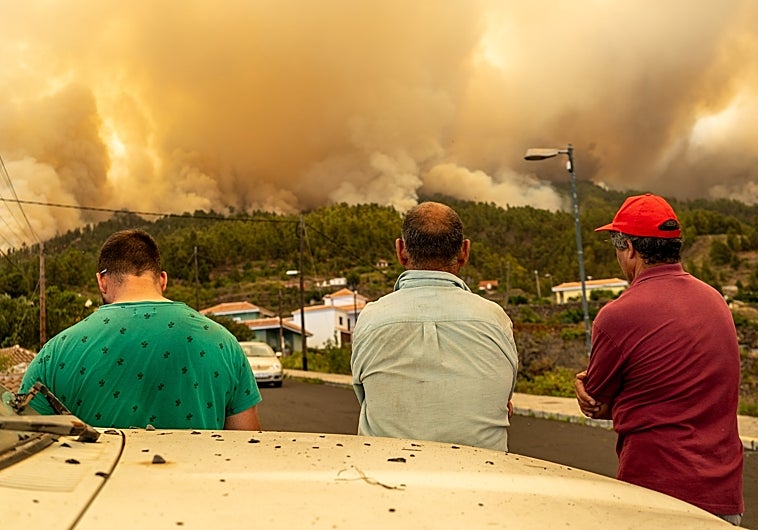 El incendio de Puntagorda, La Palma, fue declarado en la madrugada del pasado viernes