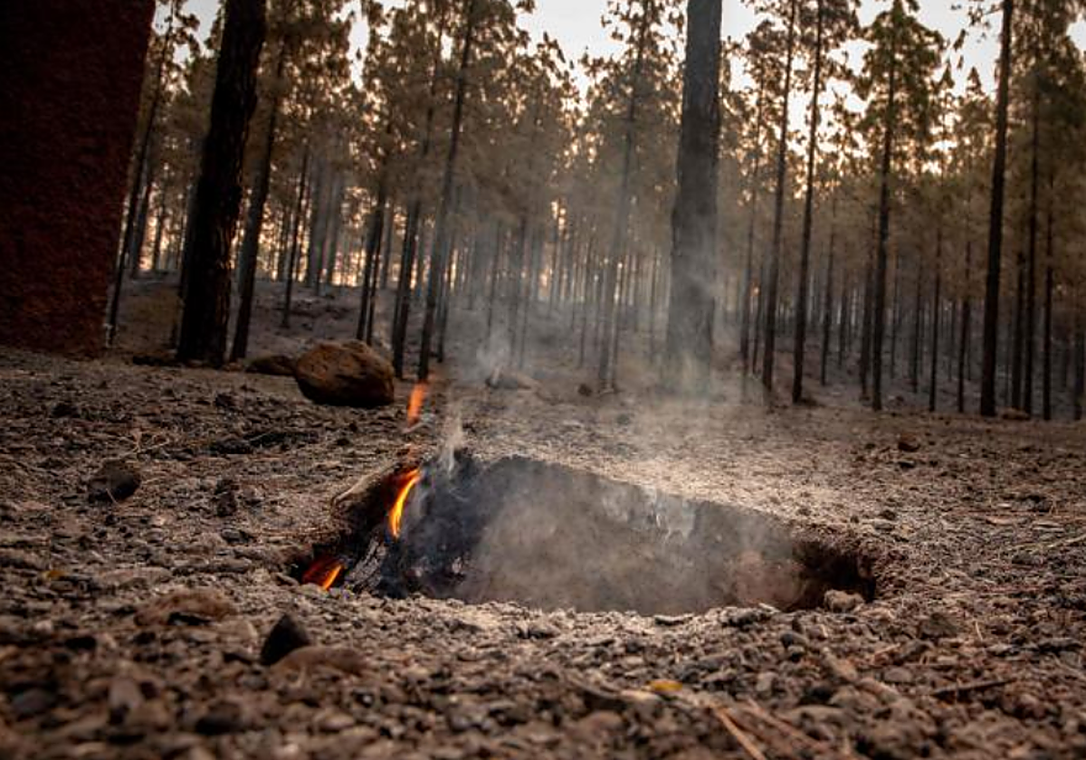 Restos de material vegetal sigue ardiendo días después del paso del fuego por Puntagorda