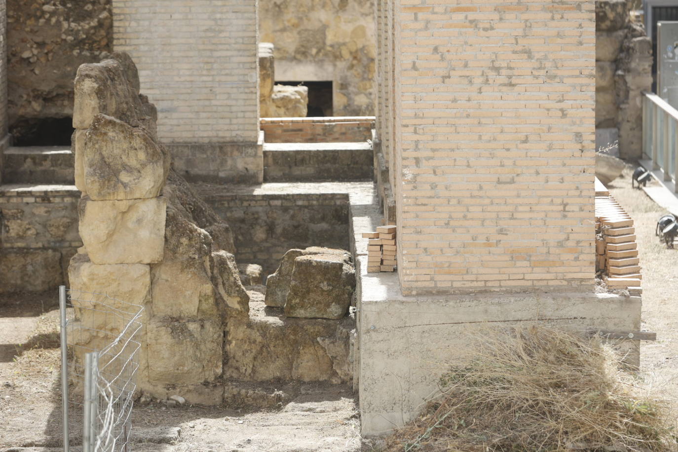 El imágenes, el Templo Romano de Córdoba reluce tras su limpieza