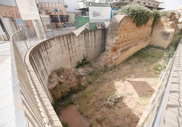 La vegetación cerca a la muralla medieval del barrio de San Basilio en Córdoba