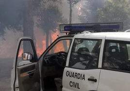 Los incendios superan por primera vez al maltrato animal como delitos perseguidos por el Seprona en Castilla y León