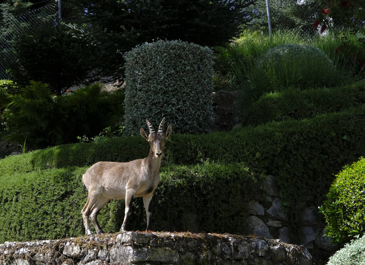 Grazalema, uno de los municipios de España con más precipitaciones