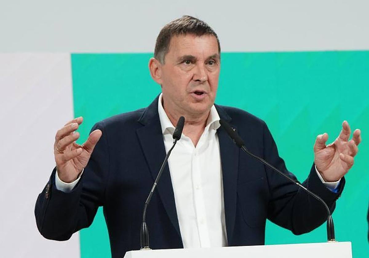 El coordinador general de EH Bildu, Arnaldo Otegi