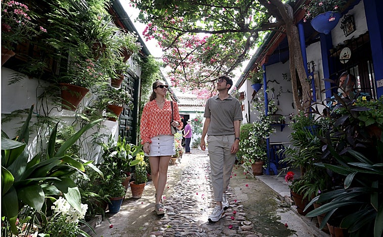 Imagen principal - Un paseo por los patios de Córdoba cuando el calor aprieta en mayo es la mejor manera de comprobar que dentro de los viejos muros del Casco hay paraísos naturales y escuelas de vida para los sentidos. Pequeñas fuentes, muros tapizados de macetas y flores y sombras que ayudan a detener los rayos del sol como un muro defensivo a la intimidad y la pausa. Aún en verano, son refugio a la tiranía de los cuarenta y pico grados a la sombra.