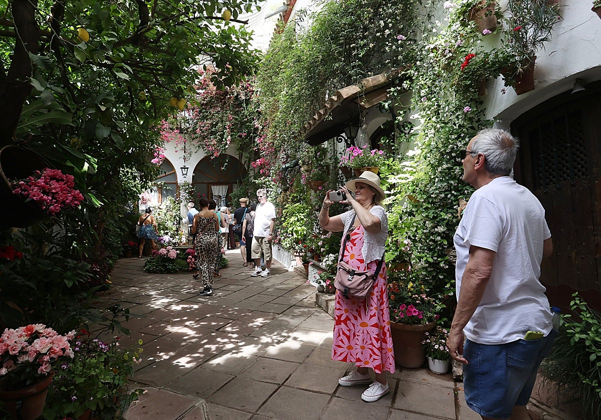 Visitantes de la casa patio situada en el número 3 de la calle la Palma