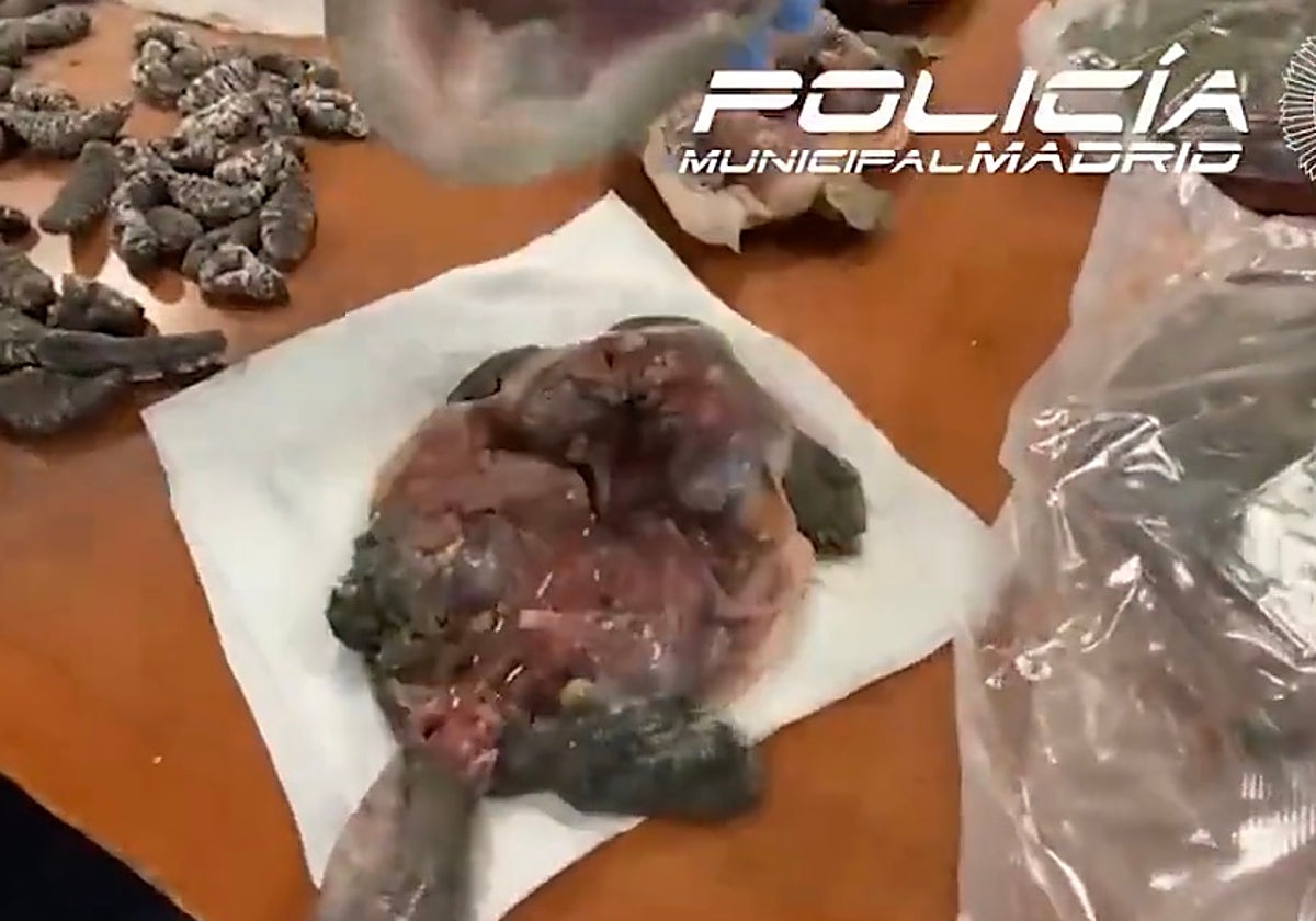 Una de las nueve tortugas que habían sido sacrificadas en el restaurante chino