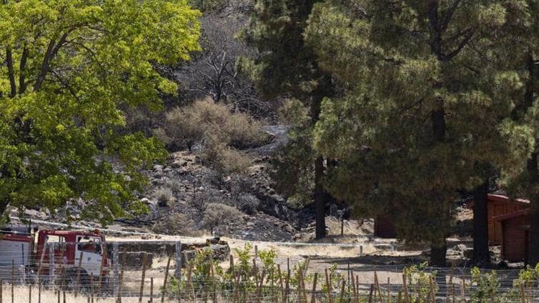 Declaran controlado el incendio de Tejeda tras afectar a unas 480 hectáreas