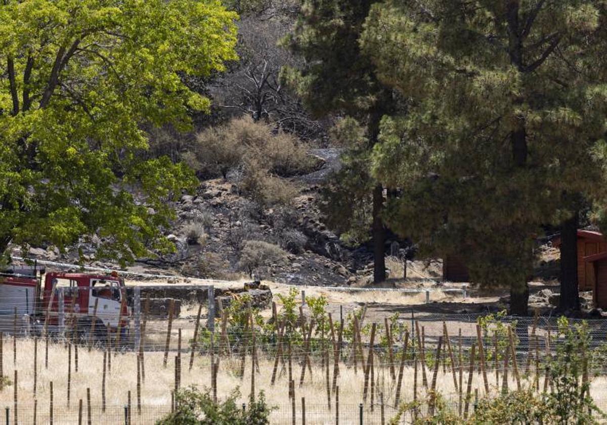 Declaran controlado el incendio de Tejeda tras afectar a unas 480 hectáreas