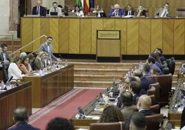 El PP de Andalucía vota por error a favor de una norma de Vox  negacionista del cambio climático