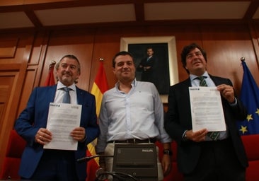 Tanque de tormentas: así será el descomunal depósito del Guadalquivir y las otras cuatro nuevas ubicaciones