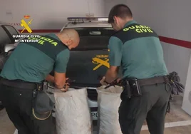 Cae una banda criminal dedicada al robo de algarrobas en Alicante