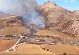 Los bomberos tratan de apagar un incendio forestal en Antequera