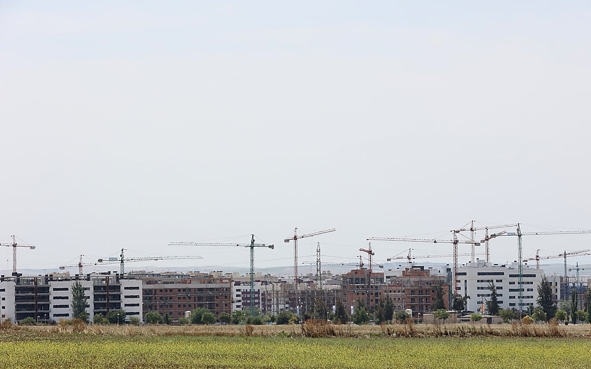 Horizonte de nuevos edificios de viviendas y grúas en la zona del Poniente de Córdoba