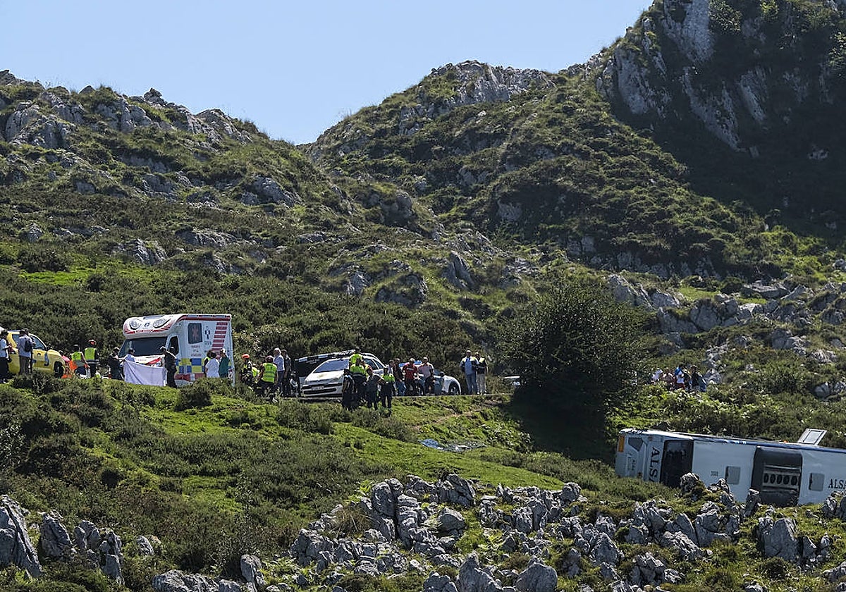 El vuelco del autobús en la carretera de subida a los Lagos de Covadonga se produjo este mediodía