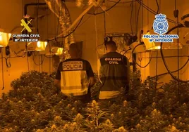 Desmantelan una banda dedicada al tráfico de droga en Alicante tras la detención de su líder en pleno robo con fuerza