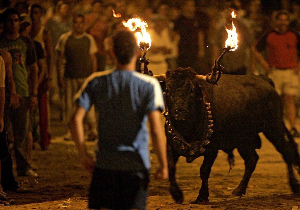 Imagen de archivo de un toro embolado en la localidad castellonense de Villarreal