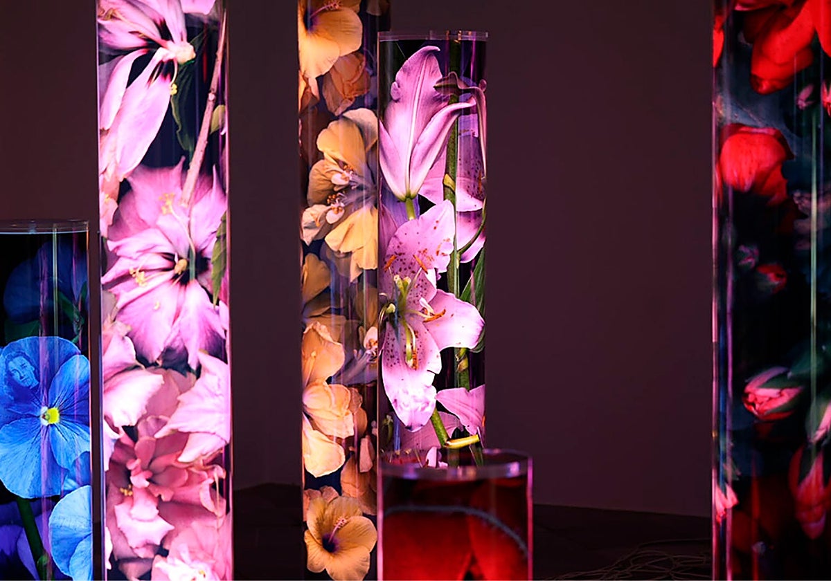 Imagen tomada en la exposición de Paloma Navares en el Centre del Carme de Valencia