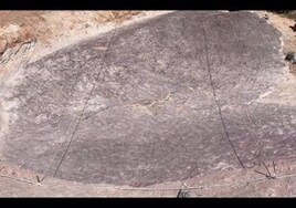 Nuevo hallazgo prehistórico: huellas fósiles de vertebrados del Cretácico en Tamajón