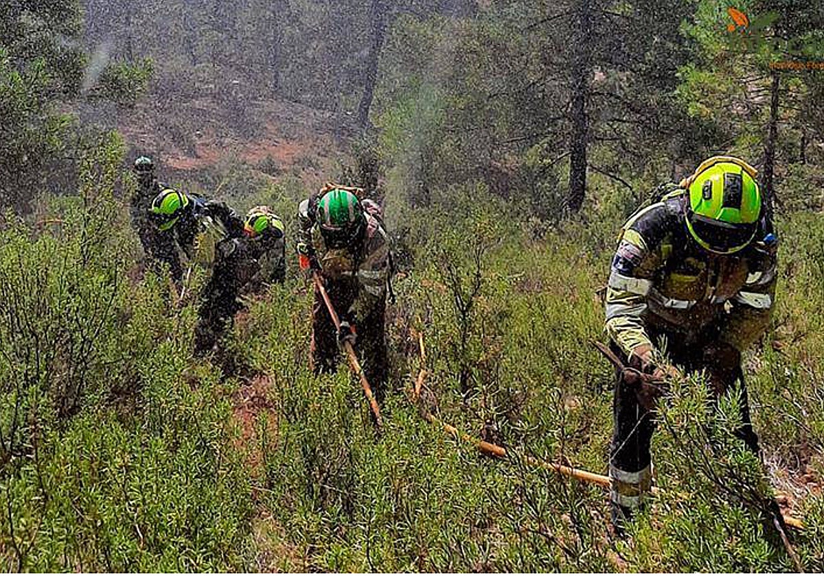 Personal de la empresa Geacam en una de sus labores de limpieza del monte