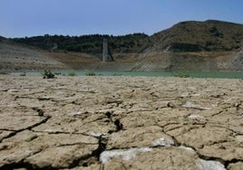 La Junta alerta de que la economía de Huelva «está en riesgo» por «la dejadez del Estado con el agua»