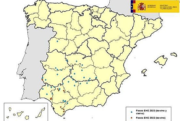 Mapa del Ministerio de Agricultura actualizado este lunes, 8 de agosto, con los casos de Enfermedad Hemorrágica Epizoótica