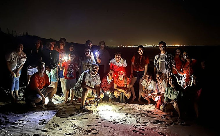 Imagen principal - Imágenes en detalle del equipo de profesionales y las tortugas recién nacidas en Valencia