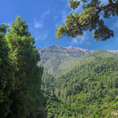 Estos son los dos pueblos de Canarias donde los extranjeros desean vivir