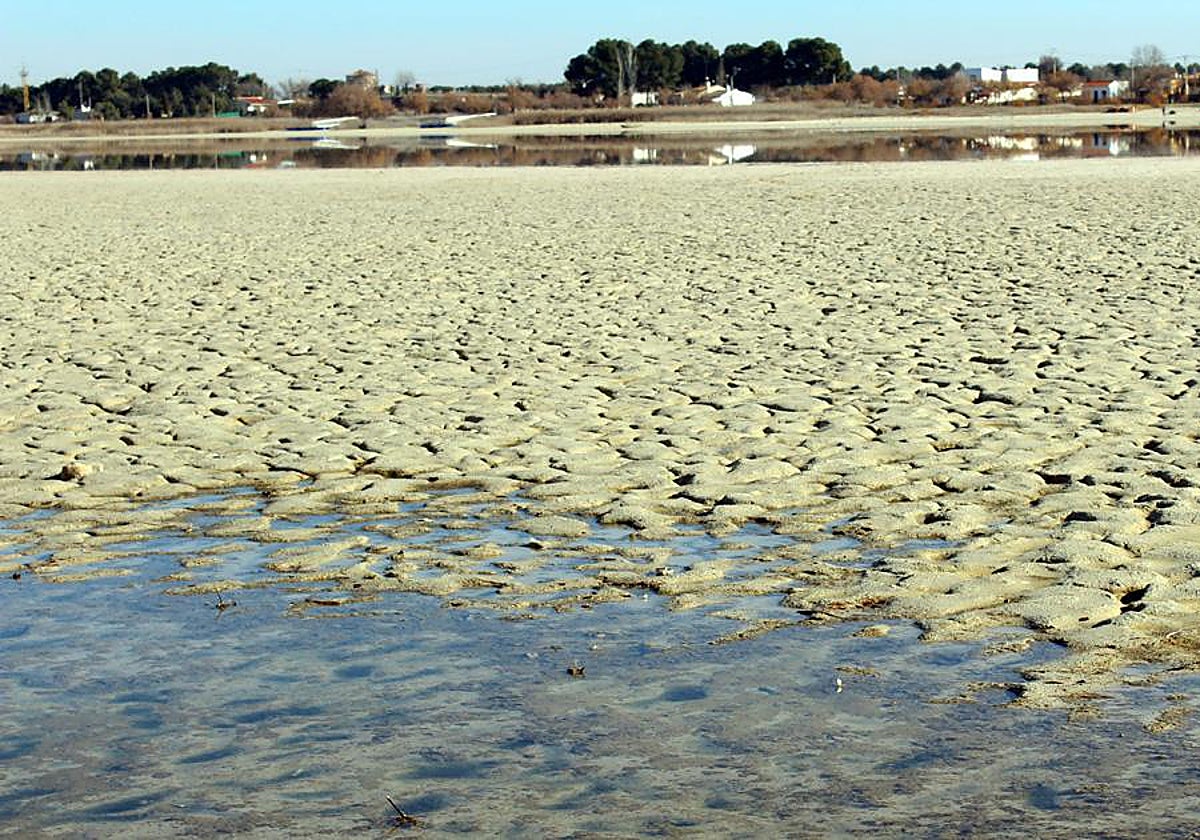 Cadenas humanas simultáneas pedirán el sábado la protección de 14 ecosistemas acuáticos