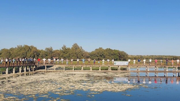 Otro momento de abrazar las Tablas de Daimiel