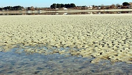 Cadenas humanas simultáneas pedirán el sábado la protección de 14 ecosistemas acuáticos