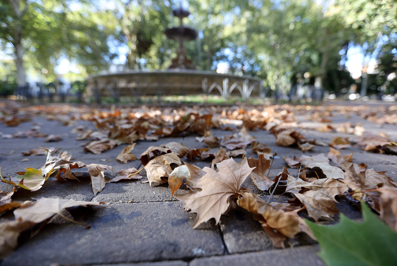 Colón, imagen otoñal en pleno agosto