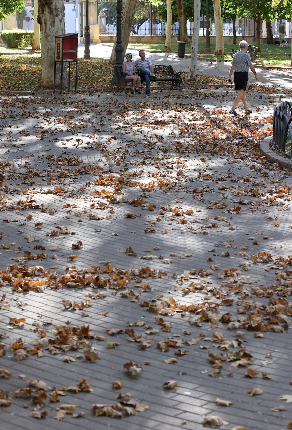 Colón, imagen otoñal en pleno agosto