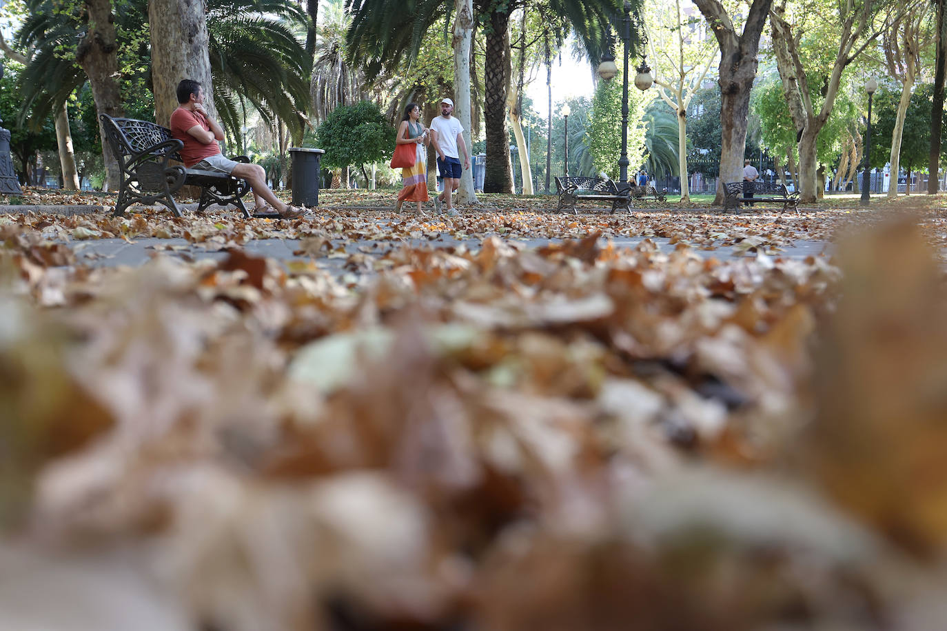Colón, imagen otoñal en pleno agosto