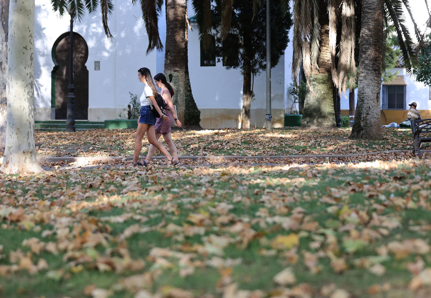 Colón, imagen otoñal en pleno agosto