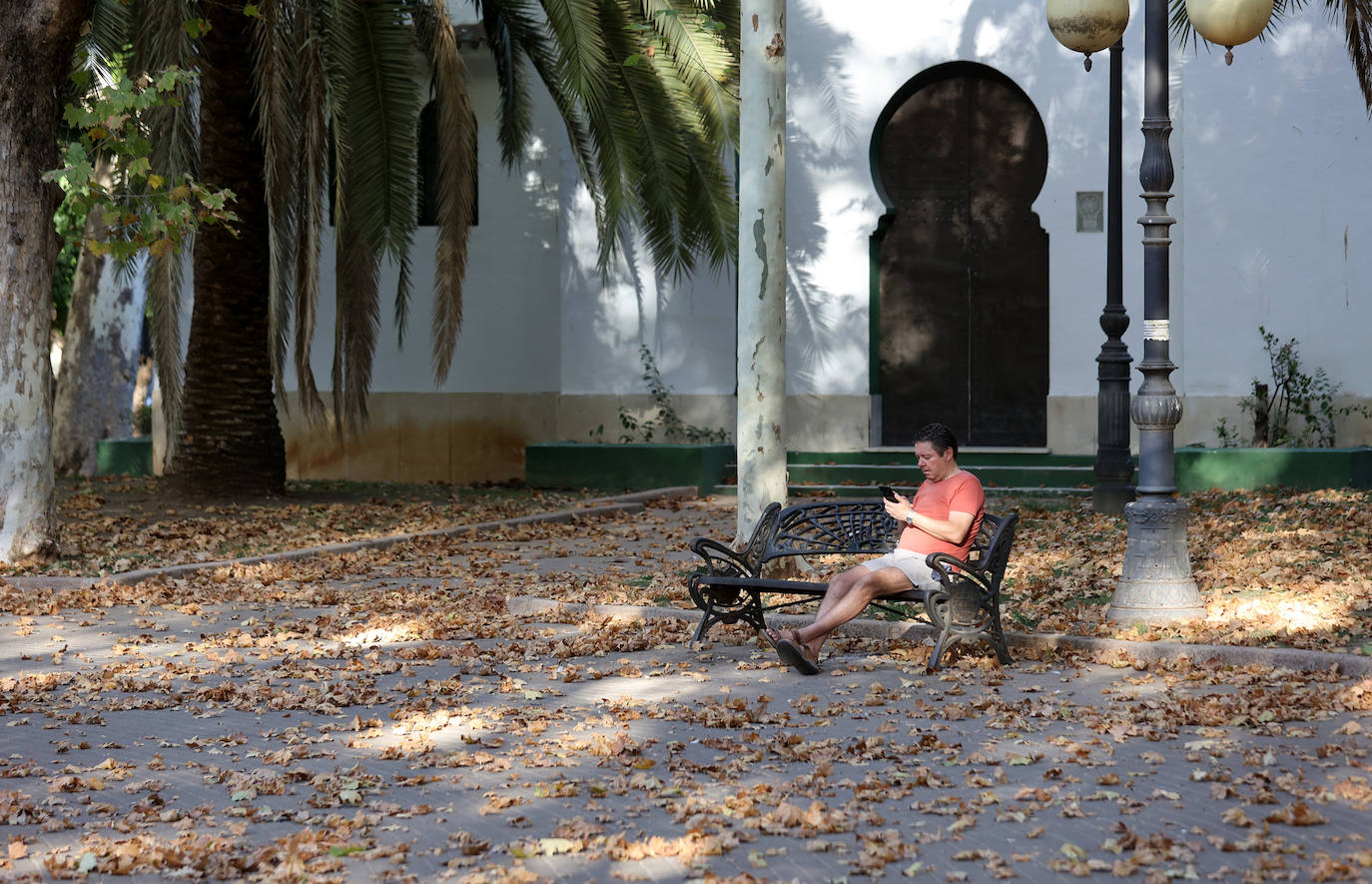 Colón, imagen otoñal en pleno agosto